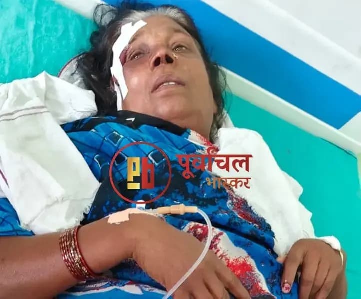 Chandauli News: नशे में धुत युवकों पर बुजुर्ग महिला से मारपीट और दुर्व्यवहार का आरोप.