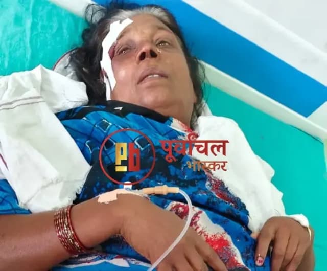 Chandauli News: नशे में धुत युवकों पर बुजुर्ग महिला से मारपीट और दुर्व्यवहार का आरोप.