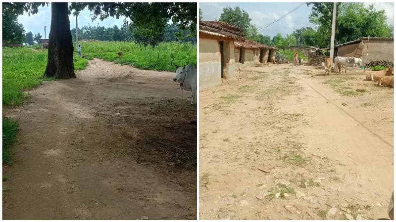 Sonbhadra News: संवरा में विकास के दावों की खुली पोल, टूटी सड़कें-खराब नाली और अंधेरी गलियों से ग्रामीण परेशान.