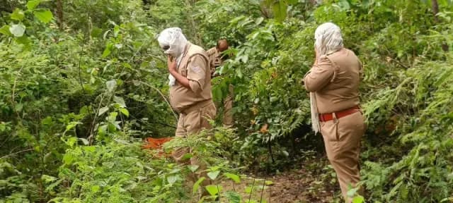 Sonbhadra News: हाथीनाला के साऊडीह जंगल में किशोरी का शव मिलने से सनसनी, जांच में जुटी पुलिस.