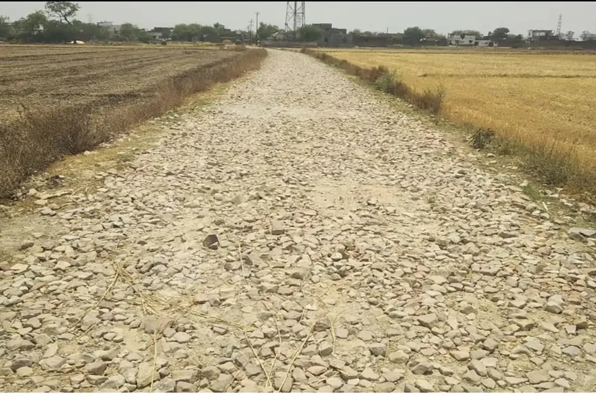 Chandauli News: 6 माह पहले गिट्टी डालकर सड़क बनाना भूल गया जिला पंचायत, अधूरे मार्ग पर आए दिन गिरकर ग्रामीण हो रहे चोटिल.