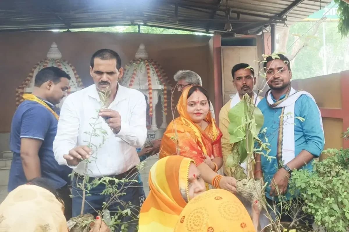 Chandauli News: नगर सहित गांव में अभियान चला कर निःशुल्क वृक्षों का होगा वितरण.