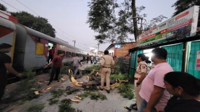 डीडीयू जक्शन के प्लेटफार्म संख्या तीन पर टूटकर गिरा पेड़ की डाली