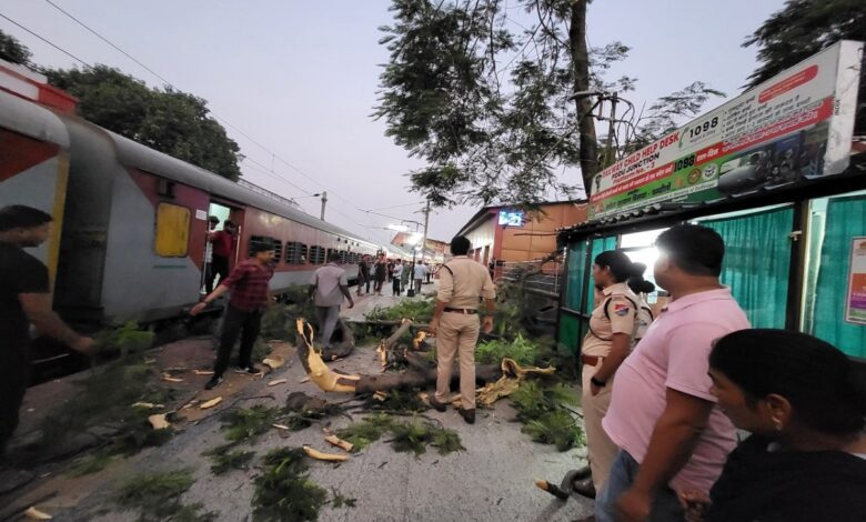 डीडीयू जक्शन के प्लेटफार्म संख्या तीन पर टूटकर गिरा पेड़ की डाली