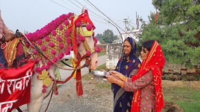 सूर्यदेव के सवारी की पूजा करती छठ वर्ती