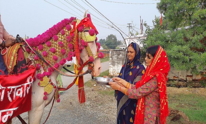 सूर्यदेव के सवारी की पूजा करती छठ वर्ती