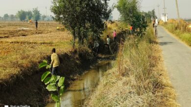 नहर में सिल्ट सफाई के नाम पर हो रहा कोरमपूर्ति