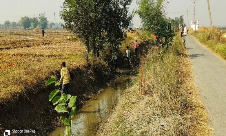 नहर में सिल्ट सफाई के नाम पर हो रहा कोरमपूर्ति