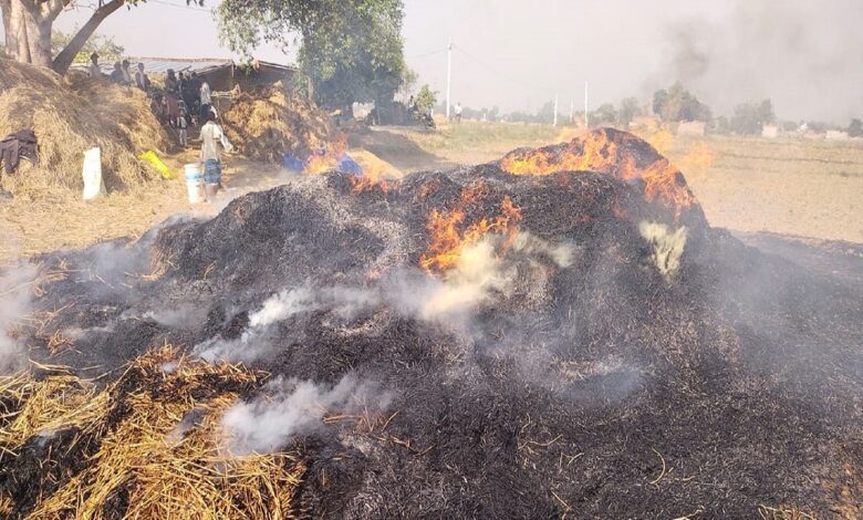 धू धू कर जलता सिवान में रखा पुआल