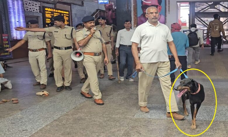 डॉग स्क्वायड के साथ डीडीयू जंक्शन पर चेकिंग करती आरपीएफ जीआरपी की टीम