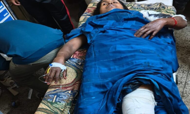 भालू के हमले में घायल महिला