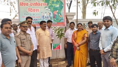 कलक्ट्रेट में वृक्षारोपण के दौरान राज्यसभा सांसद, डीएम और सीडीओ