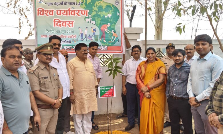 कलक्ट्रेट में वृक्षारोपण के दौरान राज्यसभा सांसद, डीएम और सीडीओ