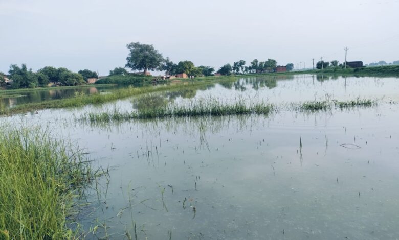 खेतो में चारो तरफ भरा पानी