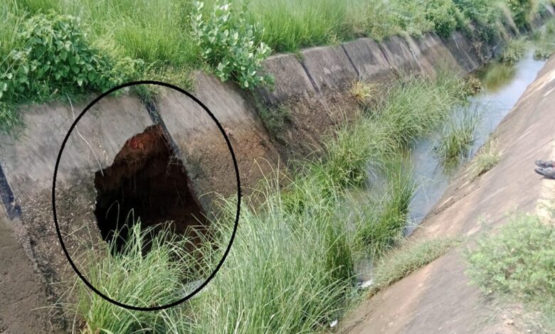 टुटा माइनर