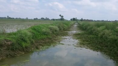 माइनर में पानी न होने से किसान परेशान