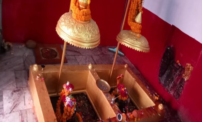जामडीह गांव में जामेश्वर महादेव की स्वंय अवतरित डबल शिवलिंग