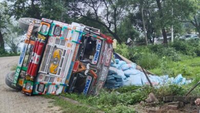 सड़क किनारे पलटी डीएपी लदी ट्रक