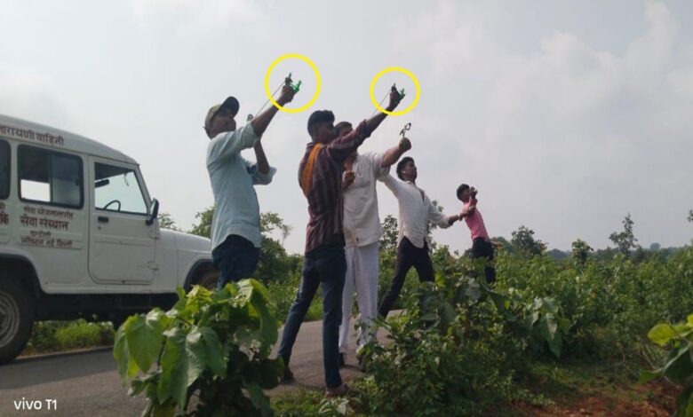 गुलेल से जंगल में सीड बाल फेकते संस्था के लोग