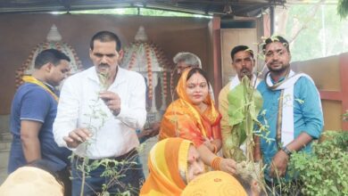 पौधे का वितरण करती नगर पंचायत सैयदराजा अध्यक्ष आभा जायसवाल