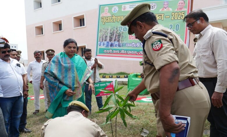 पौधरोपण करती राज्यसभा सांसद साधना सिंह